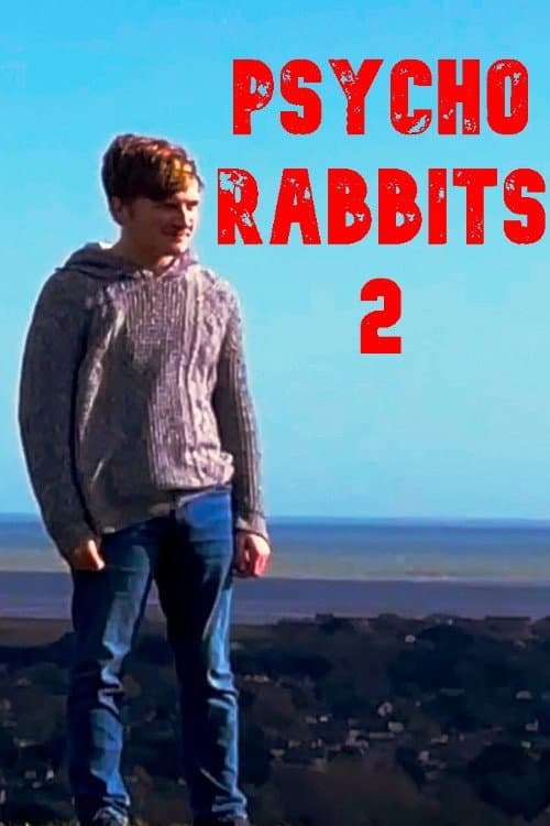 Постер: Psycho Rabbits 2