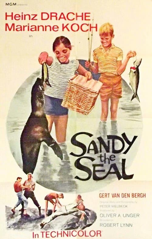 Постер: Sandy the Seal