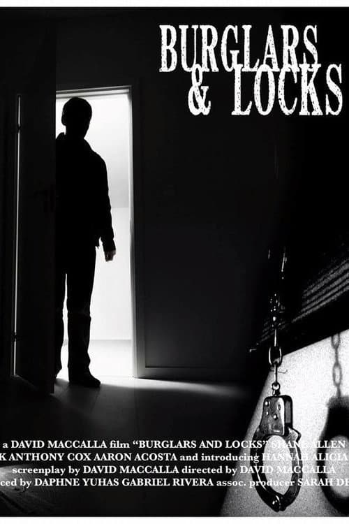 Постер: Burglars & Locks