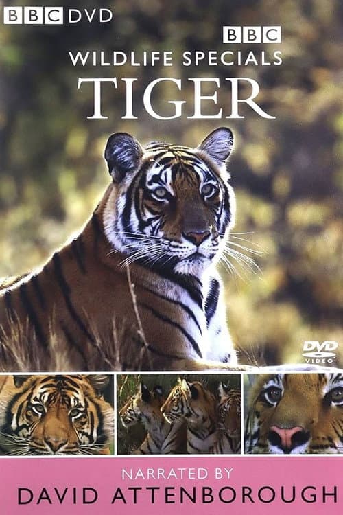 Постер: Tiger: The Elusive Princess
