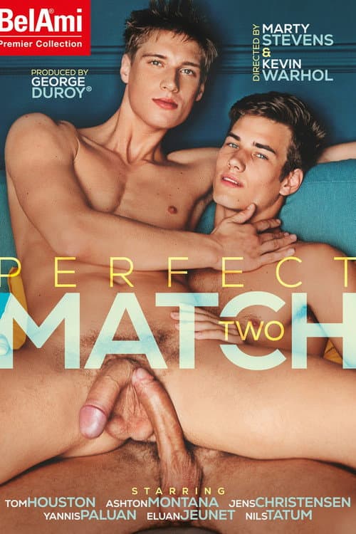 Постер: Perfect Match Two