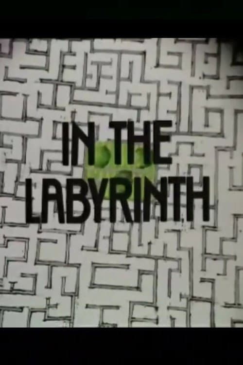 Постер: In the Labyrinth