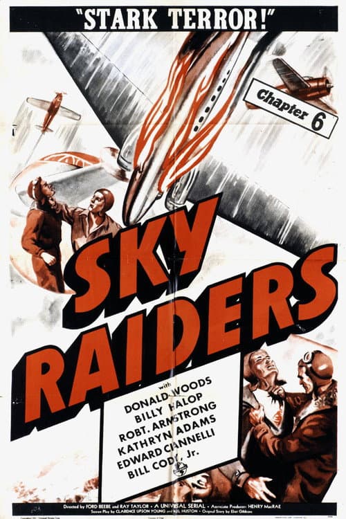 Постер: Sky Raiders