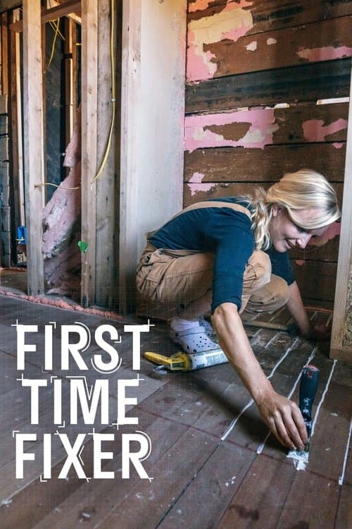 Постер: First Time Fixer