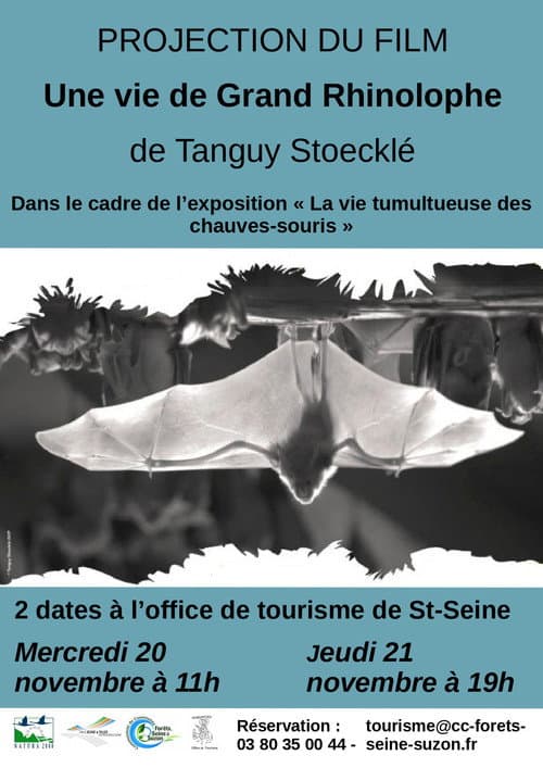 Постер: Une vie de Grand Rhinolophe