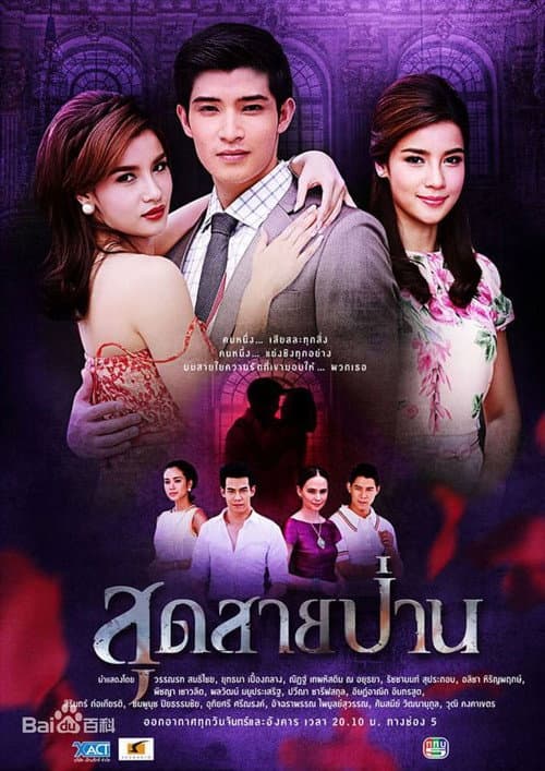 Постер: สุดสายป่าน