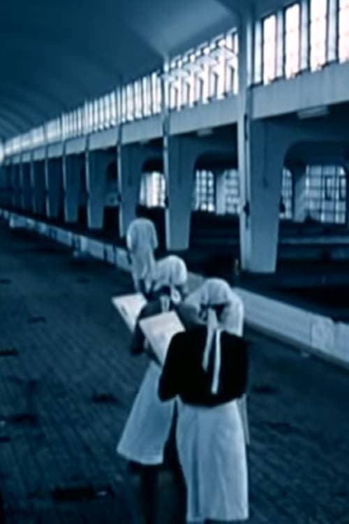 Постер: Pentimento