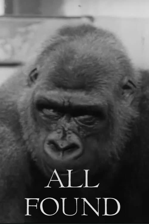 Постер: All Found