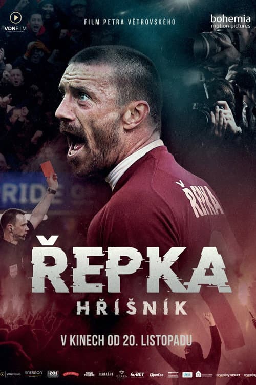 Постер: Řepka: Hříšník