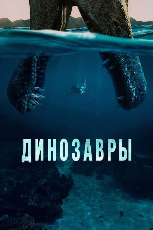 Кадр 2