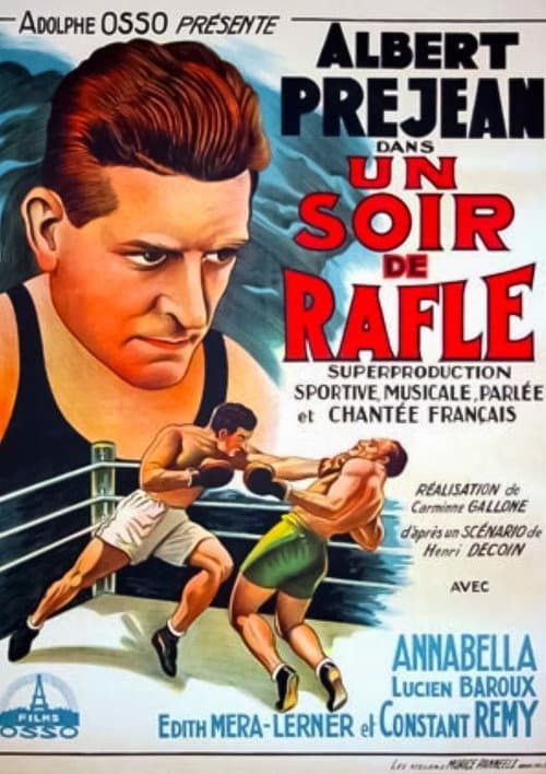 Постер: Un soir de rafle