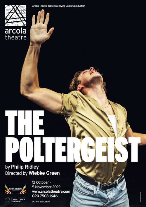 Постер: The Poltergeist