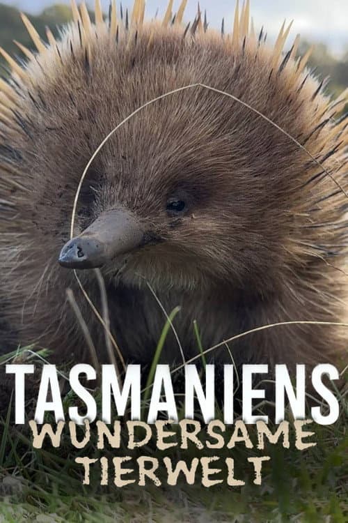 Постер: Tasmaniens wundersame Tierwelt