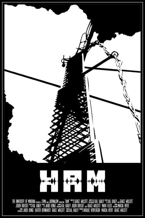Постер: Ham