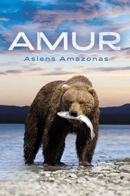 Постер: Амур: Амазонка Азии