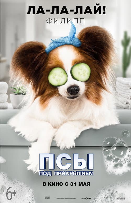 Постер 6