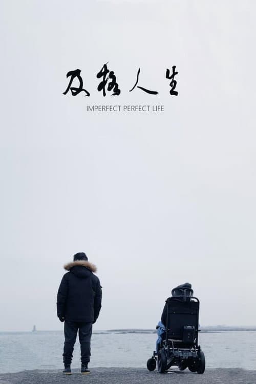Постер: 及格人生