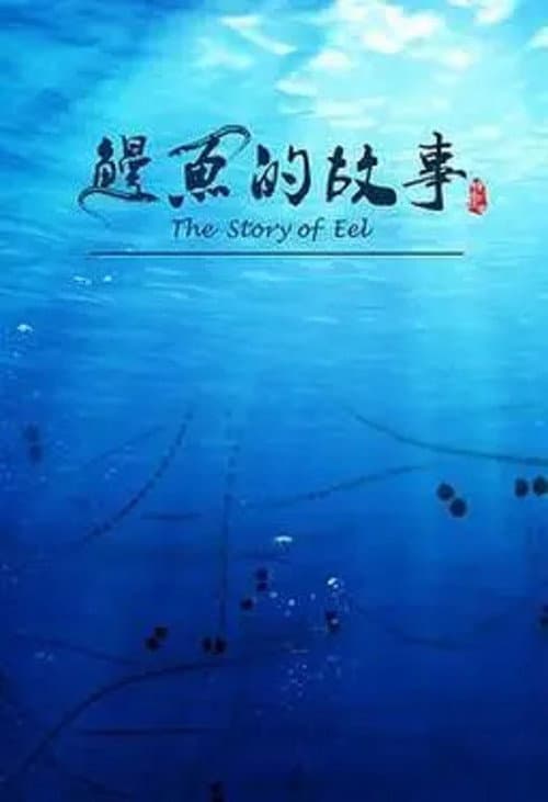 Постер: 鳗鱼的故事