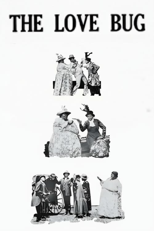 Постер: The Love Bug