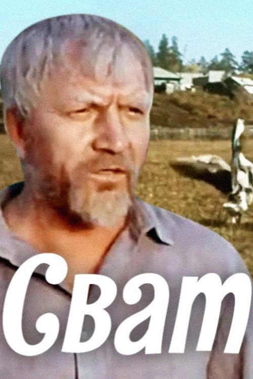 Постер: Сват