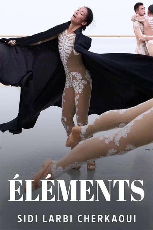 Постер: Éléments