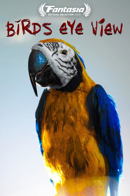 Постер: Bird's Eye View
