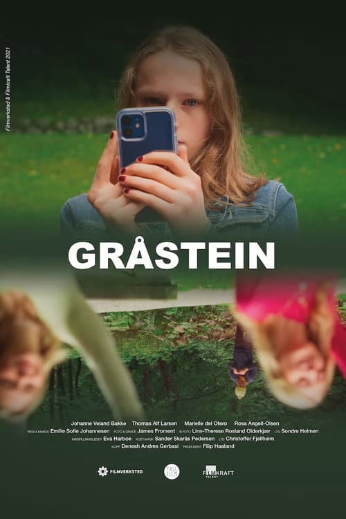 Постер: Gråstein