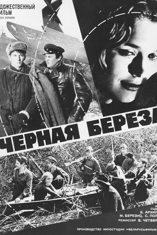 Постер 5