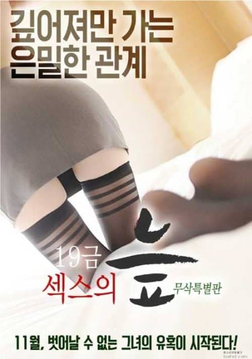 Постер: 19금 섹스의 늪