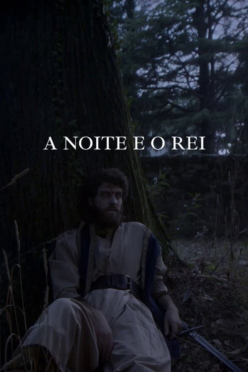 Постер: A noite e o rei