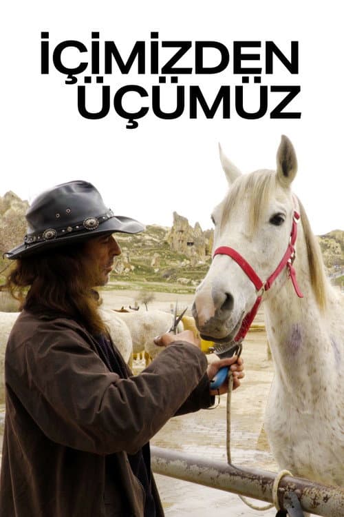 Постер: İçimizden Üçümüz