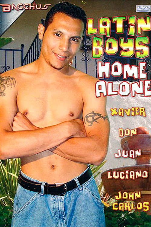 Постер: Latin Boys Home Alone