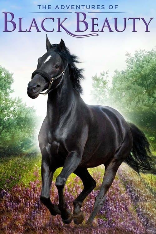 Постер: The Adventures of Black Beauty
