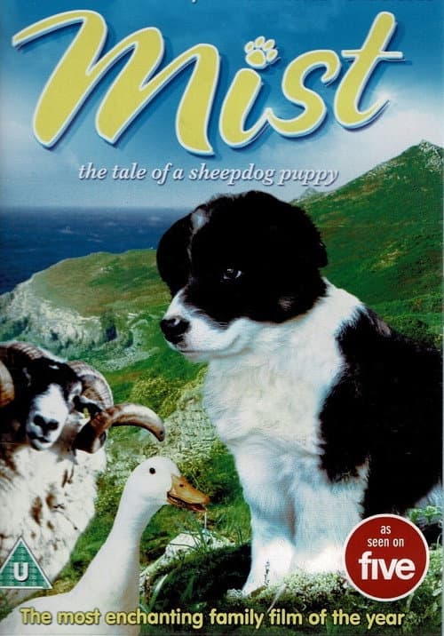 Постер: Border Collie Sheepdogs – Off Duty!