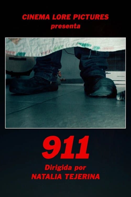 Постер: 911
