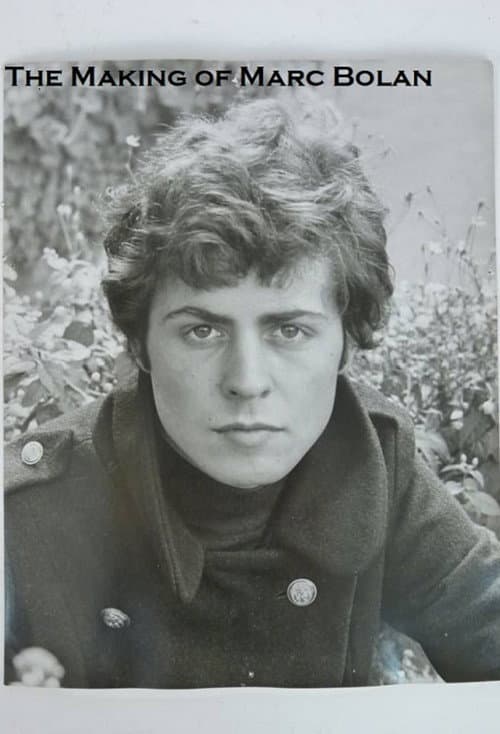 Постер: The Making of Marc Bolan