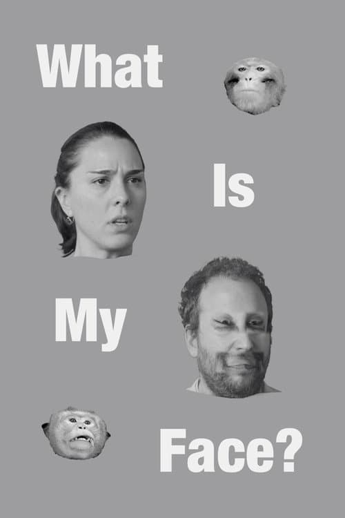 Постер: What Is My Face?