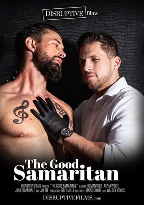 Постер: The Good Samaritan