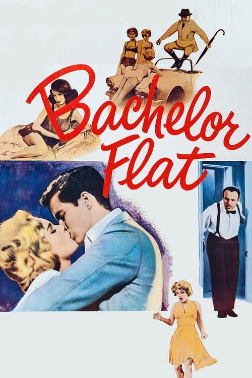 Постер: Bachelor Flat