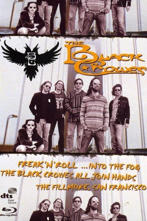 Постер: The Black Crowes - Freak 'n' Roll... Into the Fog