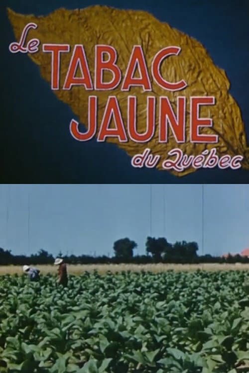 Постер: Le tabac jaune du Québec