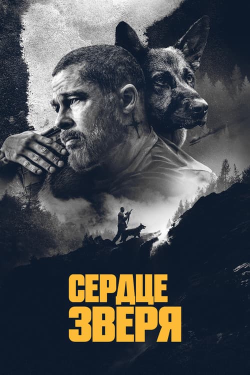 Кадр 3