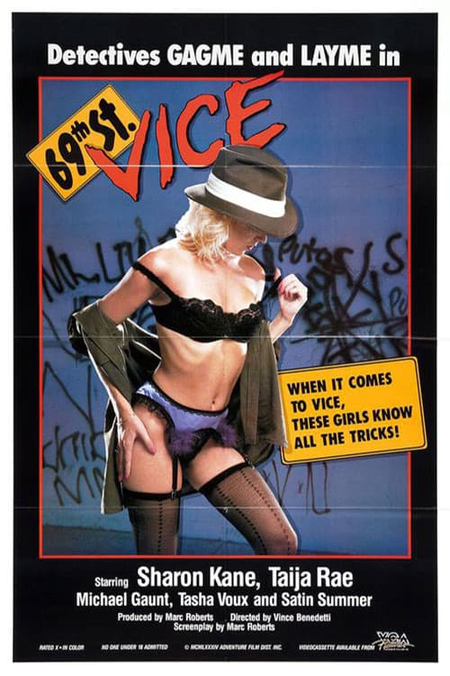 Постер: 69th Street Vice