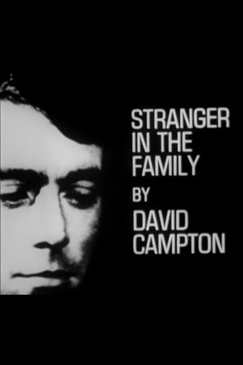 Постер: Stranger in the Family