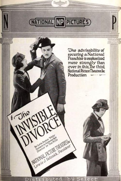 Постер: The Invisible Divorce
