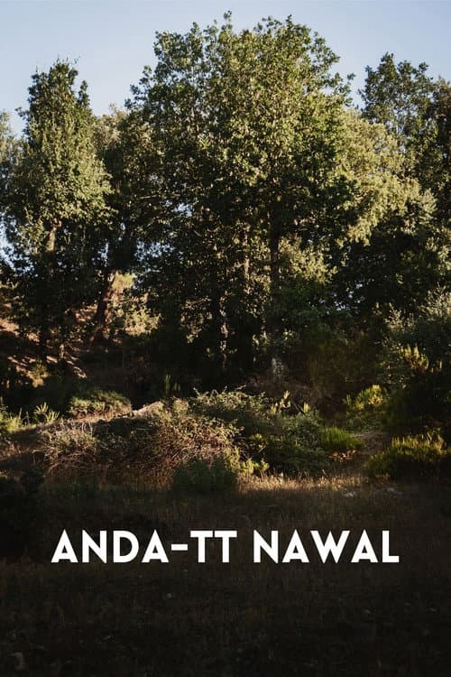 Постер: Anda-tt Nawal