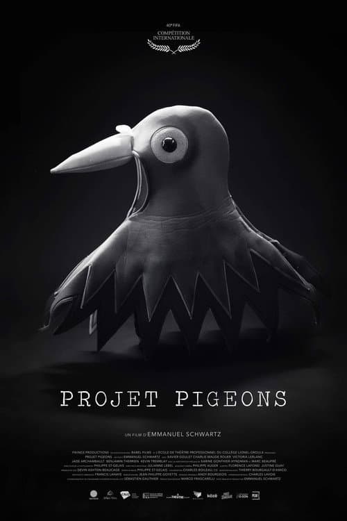 Постер: Projet Pigeons