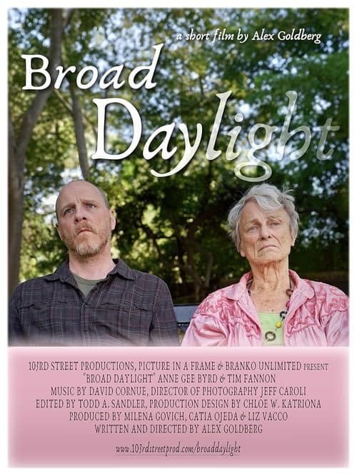 Постер: Broad Daylight