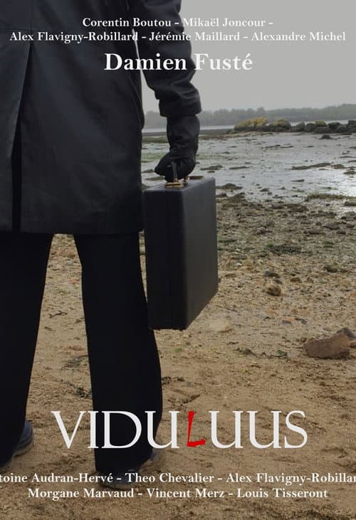 Постер: ViduLuus