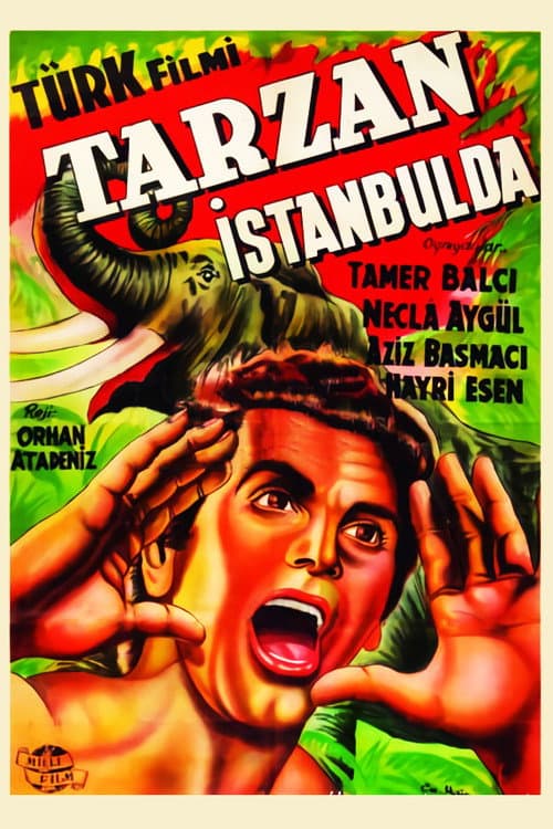 Постер: Tarzan İstanbul'da